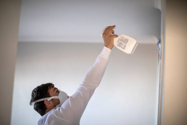 Best Mold Damage Repair  in Navy Yard City, WA