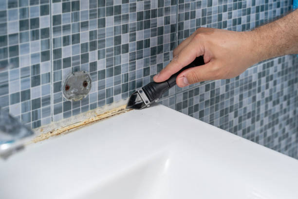 Best Mold Removal Company Near Me  in Navy Yard City, WA