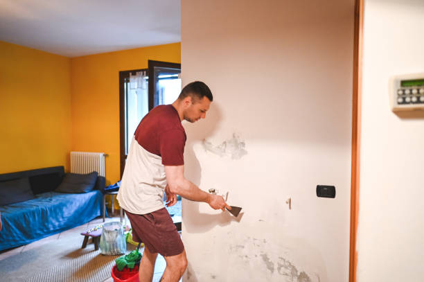 Office Mold Removal Services in Navy Yard City, WA